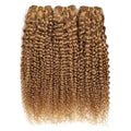 FEELME Honey Blonde Brazilian Hair Kinky Curly Bundles Color 27 Curly Human Hair Bundles Unprocessed Virgin Brazilian Curly Hair Bundles 100% Human Hair Extensions 3 Bundles 10 12 14