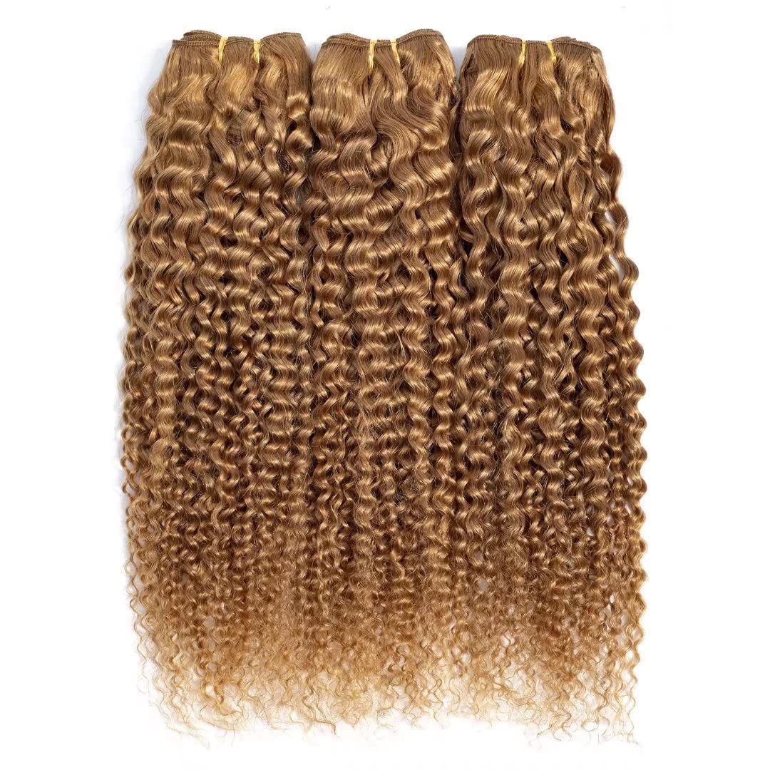 FEELME Honey Blonde Brazilian Hair Kinky Curly Bundles Color 27 Curly Human Hair Bundles Unprocessed Virgin Brazilian Curly Hair Bundles 100% Human Hair Extensions 3 Bundles 10 12 14